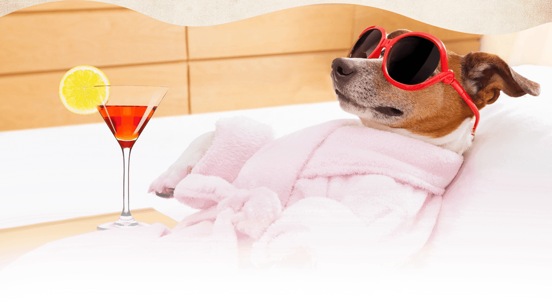 A dog wearing sunglasses and laying on the bed